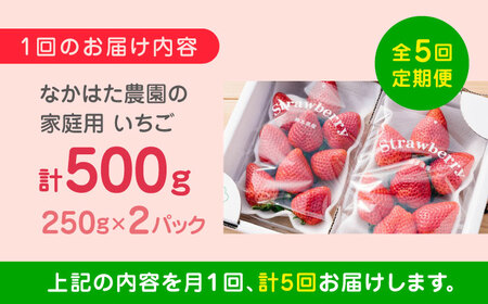 【先行予約】【2025年12月より順次発送】【全5回定期便】いちご 4品種 食べ比べ セット 250g×2P【なかはた農園】[YBI062]