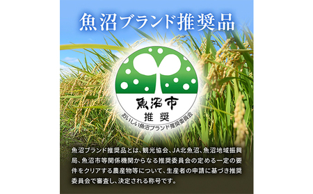 【令和5年産】北魚沼の旬米コシヒカリ（無洗米）3合（450g）×3袋