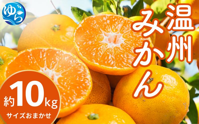 
            【先行予約】温州みかん（サイズおまかせ） 約10kg 【2025年12月中旬から順次発送予定】※北海道・沖縄・離島配送不可 / ミカン 蜜柑 フルーツ 果物 柑橘 果実 由良町 国産 産地直送 和歌山県【eiw011】
          