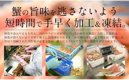 【12月26日～12月31日着(指定日不可)】カット済ズワイ蟹 ハーフポーション 1.2kg（600g × 2箱）[053-b012] 