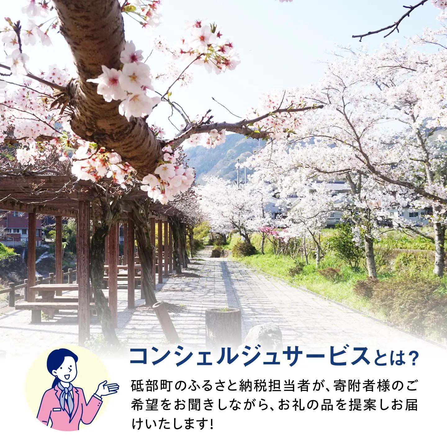 【砥部町コンシェルジュ】返礼品おまかせ！寄附額20万円コース 200,000円 砥部焼 焼き物 磁器 食器 柑橘 みかん 詰め合わせ プレゼント 内祝い お返し ギフト グルメ 食品 お取り寄せ 高級