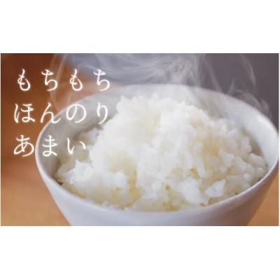 ふるさと納税 滑川市 【毎月定期便】ほたるいか米　精米　20kg(10kg×2袋)全6回 |  | 02