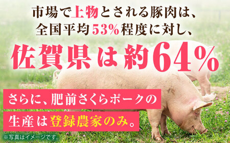 しゃぶしゃぶ 食べくらべ セット B（佐賀牛・肥前さくらポーク）計1kg [HAM076]黒毛和牛 牛肉 豚肉 しゃぶしゃぶ用 肉