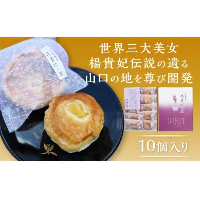 ふるさと納税 山口市 楊貴妃の里(パイ饅頭) E079