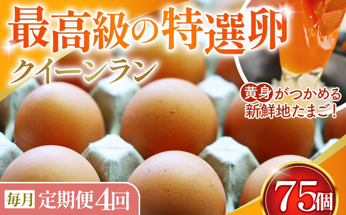 【毎月定期便】黄身がつかめる新鮮地たまご クイーンラン 赤玉 75個入り全4回