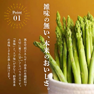 【 令和8年産 春芽 】 アスパラガス 1kg 1箱 〔 発送 ： 2026年5月中旬頃 ～ 6月中旬頃 まで 〕 朝採り 有機肥料栽培
