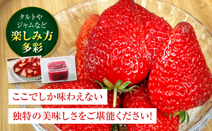 【先行予約】【2025年1月上旬～から順次発送】自分へのご褒美に！大洲の厳選高級いちご「食べる宝石 紅ほっぺ　24粒×3箱」愛媛県大洲市/有限会社西山青果　フルーツ 果物 苺 いちご イチゴ　大容量 