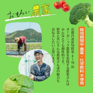 【8回定期便】＜３６９商店＞京都丹波産旬の野菜セット ※全て栽培期間中農薬・化学肥料不使用※