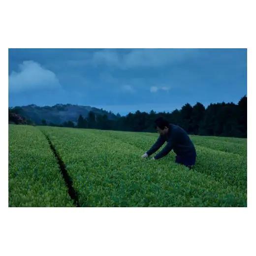 《定期便》 黄綬褒章受章有機ほうじ茶入り健康茶【3回お届け】