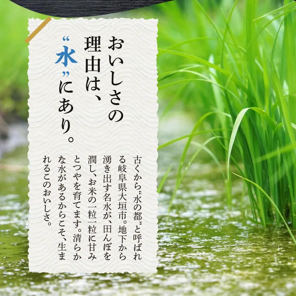 【令和7年度産】精米 定期便 ハツシモ 5kg｜ハツシモ