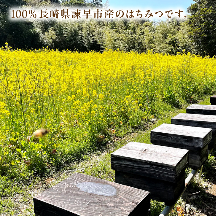 【4種から選べる】 長崎県産天然はちみつ600g×2本セット / 百花蜜 百花蜂蜜 蜂蜜 はちみつ ハチミツ / 諫早市 / 坂口養蜂 [AHDB003]