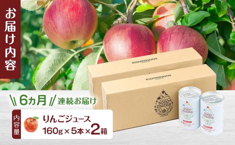 りんごジュースsonomamaりんご飲料りんごジュース【160g×5本×2箱】【定期便6ヵ月】