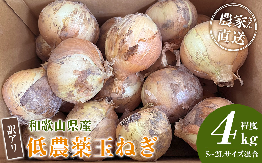 ［2026年発送分・先行予約］訳あり 農家さん直送 低農薬玉ねぎ 4kg程度 S～2L混合［4月中旬～7月中旬頃発送予定］ご家庭用 ※傷有り［KF19］