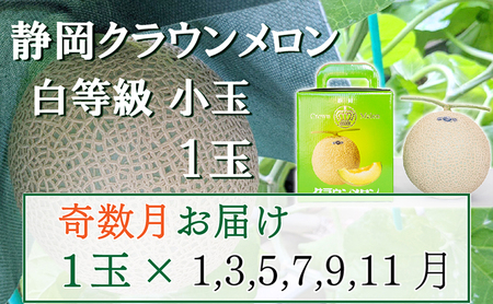 クラウンメロン 並(白等級) 小玉 静岡県産 クラウンメロン【1.1kg前後 1玉】【奇数定期便】