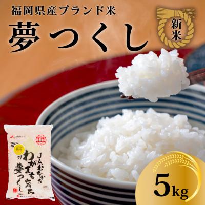 ふるさと納税 田川市 【化粧箱入り】新米!!令和7年産 福岡県産米 夢つくし 5kg(5kg×1袋)(田川市)