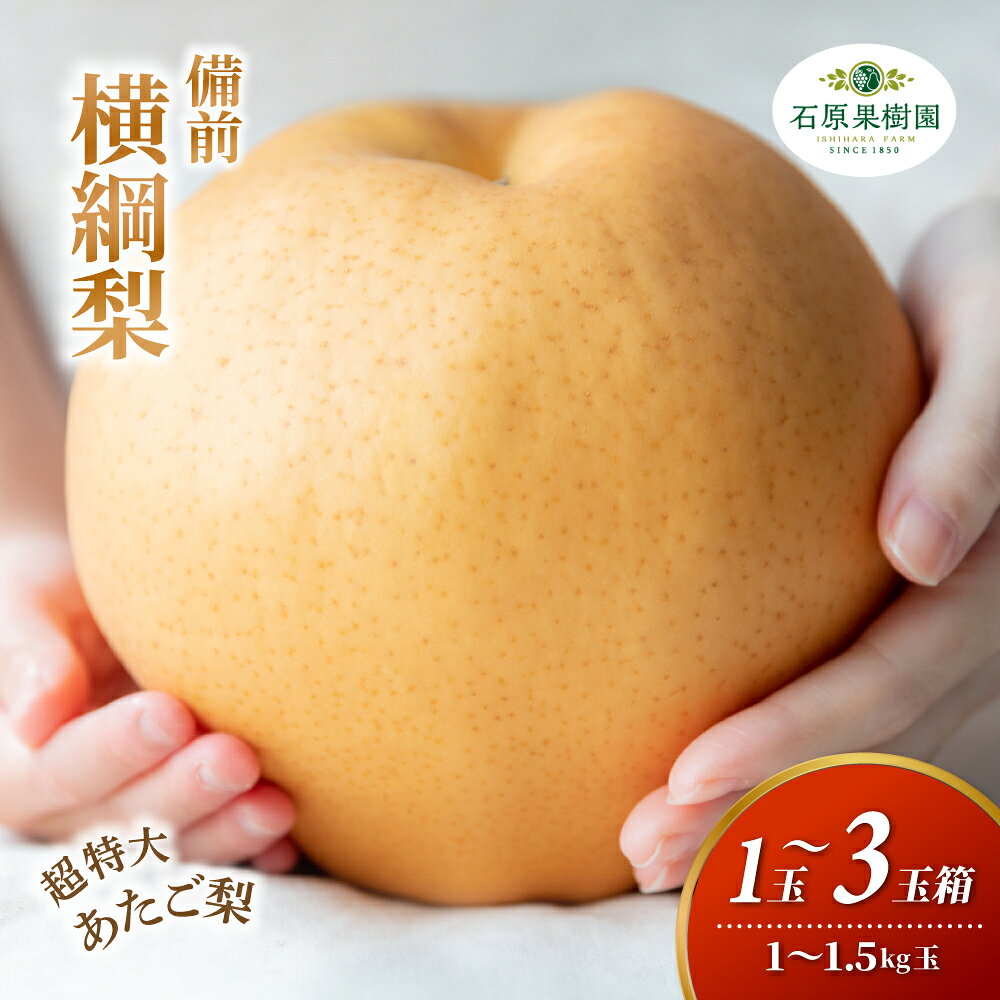 【ふるさと納税】 梨 備前横綱梨 あたご梨 愛宕梨 先行予約 贈答箱 化粧贈答箱 赤秀 岡山県産 | 特選品 上級品 贈り物 御歳暮 果物 くだもの フルーツ 和梨 石原果樹園 贈答品 岡山県 真庭市