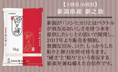 【定期便全6回】新潟県産米厳選食べ比べ 5kg