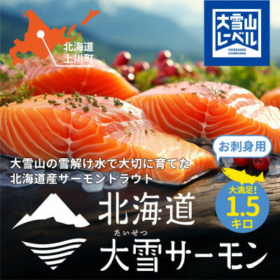 【ふるさと納税】大雪山連峰の雪どけ水で育てた北海道大雪サーモン刺身用1.5kg約150g×10個程度【1205】【配送不可地域：離島】【1452231】