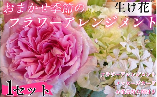 季節の花束 フラワーアレンジメント  オリジナル手作りカード付 生花 こだわり 単品 1セット ギフト プレゼント フラワーガーデンミモザ 花 ※北海道・東北・沖縄を含む離島への配送不可