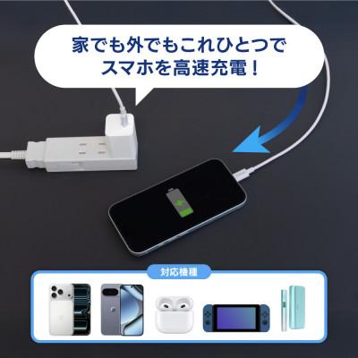 ふるさと納税 海老名市 USB Type-Cケーブル付属 最大PD20W出力 USB Type-C×1 AC充電 ホワイト |  | 01
