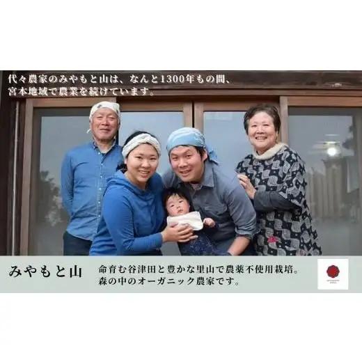 （2026年9～11月発送）農薬を使わずに作った玄米100％の玄米餅　12パック ／ 餅 もち モチお餅 おもち 玄米 玄米餅 玄米もち 切り餅 みやもと山 千葉県 匝瑳市 送料無料