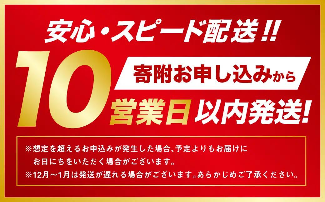 【10営業日以内発送】通気性の高いメッシュ素材【NORTH VAST SAUNA】リクライニングチェア ブラック（耐荷重150kg）折りたたみ 無段階調整 ドリンクホルダー ヘッドレスト付 インフィニ