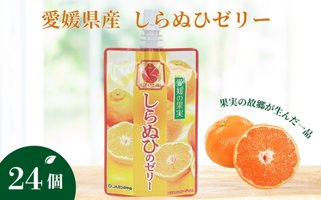 飲むゼリー しらぬい 150g×6個×4箱｜B366