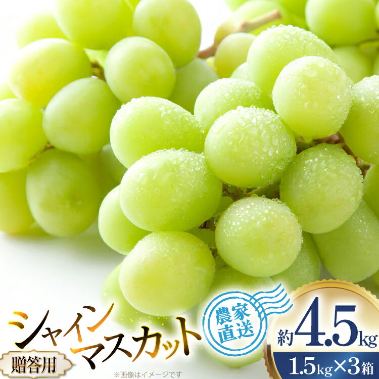 【ふるさと納税】 【期間限定発送】 ぶどう 贈答用 シャインマスカット 約1.5kg 3箱 計4.5kg [治右衛門果樹園 山形県 高畠町 tk06ays830026] ブドウ 葡萄 フルーツ 果物 くだもの デザート 甘い シャイン マスカット 産地直送 農家直送 期間限定