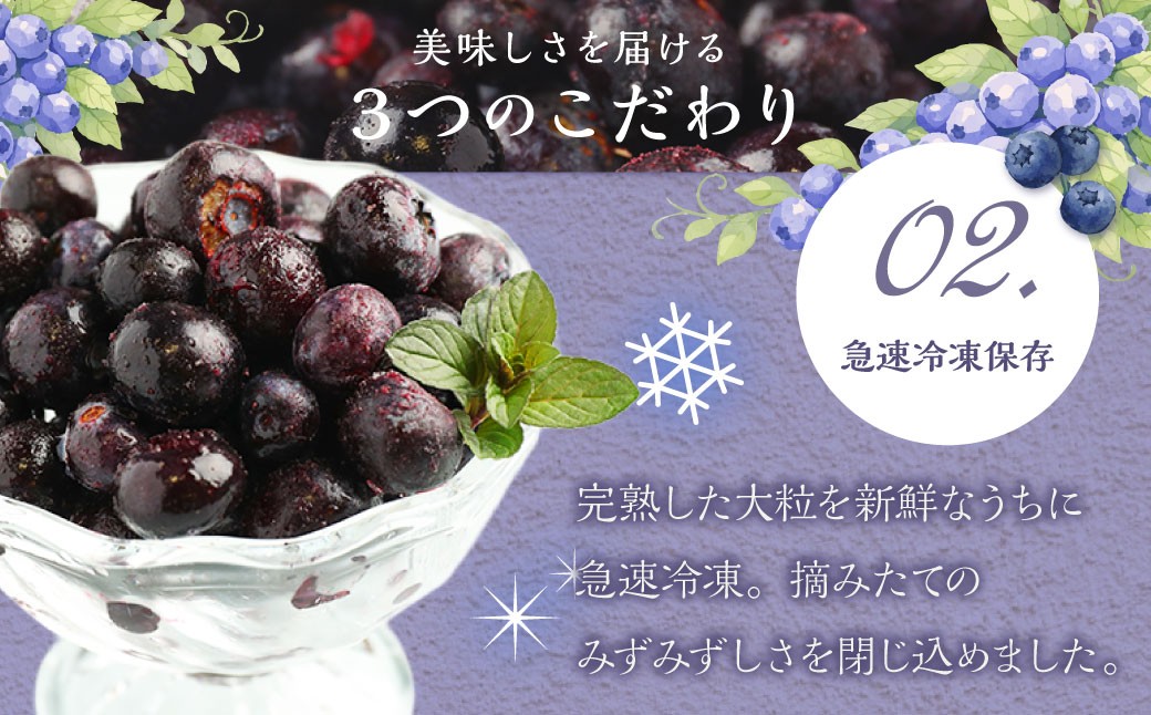 九重町産 冷凍 ブルーベリー 約1kg (1kg ×1袋) 