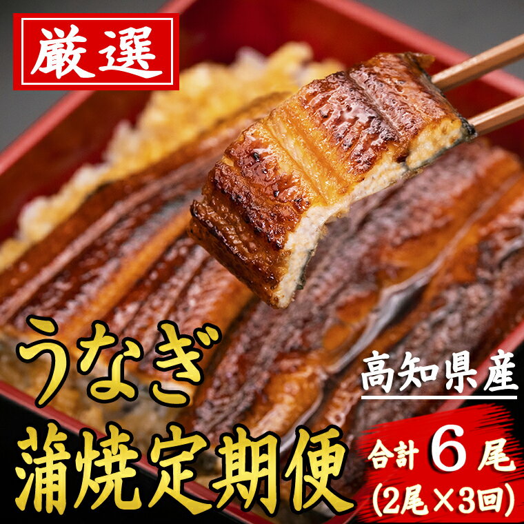 【ふるさと納税】 定期便 うなぎ 蒲焼き 2尾 3回 特製たれ 高知県産 国産 ウナギ 鰻 土用の丑の日 スタミナ食 タレ付き 贈答用 グルメ お取り寄せ 夏バテ対策 有名店 産地直送 国内養殖 タウナギ 安芸市 高知県