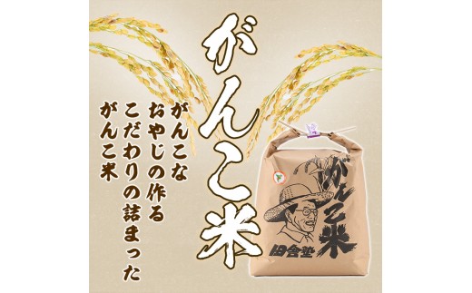 ＜令和8年産 新米 先行予約！＞田舎塾特別栽培米「がんこ米ゆめぴりか」(20kg) 【2026年10月上旬以降順次発送】 米 お米 白米 北海道産 北海道米 ゆめぴりか 特A 一等級 ごはん おこめ 