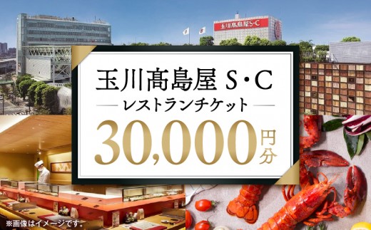 世田谷区ふるさと納税限定お礼品　二子玉川から望む世田谷区の街とグルメを楽しむ　玉川高島屋Ｓ・Ｃレストランチケット（30,000円分）【高島屋選定品】 チケット 食事券 お食事券 レストラン デパート 東京 二子玉川 ランチ ディナー ギフト プレゼント 贈り物 贅沢 ご褒美 おすすめ