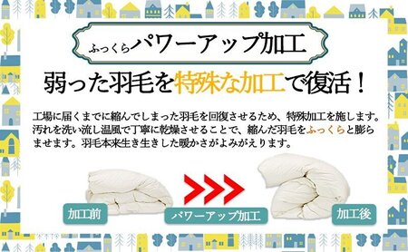 羽毛布団シングル掛け布団日本製ダウン90％1.2kg立体スクエアキルト8か所ループ付き無地クリーム 寝具 軽量 抗菌 消臭 立体キルト 