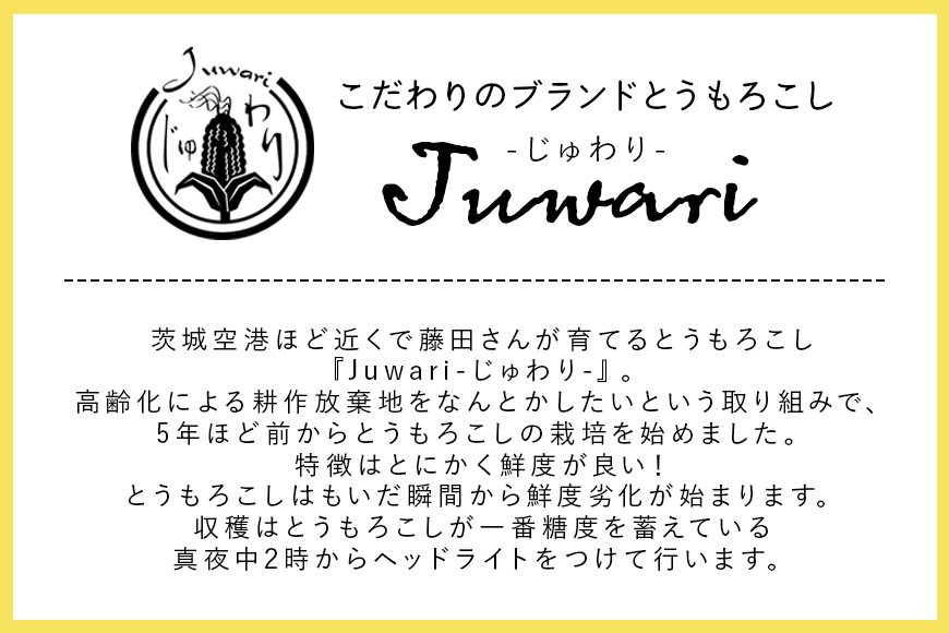 【数量限定 先行予約】＜2024年6～7月発送予定＞ ブランドとうもろこし【Juwari-じゅわり-】ドルチェドリーム 約4kg以上（8～10本入り） とうもろこし トウモロコシ