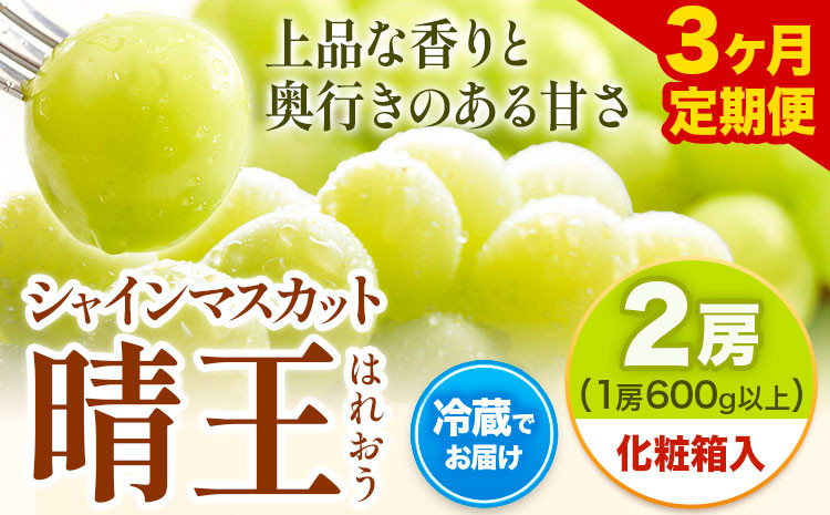 
                  【2026年先行予約】【3ヶ月定期便】 シャインマスカット晴王 はれおう 2房入り(1房600g以上) 化粧箱入 株式会社山博(中本青果)《2026年8月下旬から10月下旬出荷》 定期 計3回お届け 岡山県 浅口市 ぶどう マスカット 大粒 フルーツ 秀品 旬 果物 贈り物 ギフト 送料無料【配送不可地域あり】
                