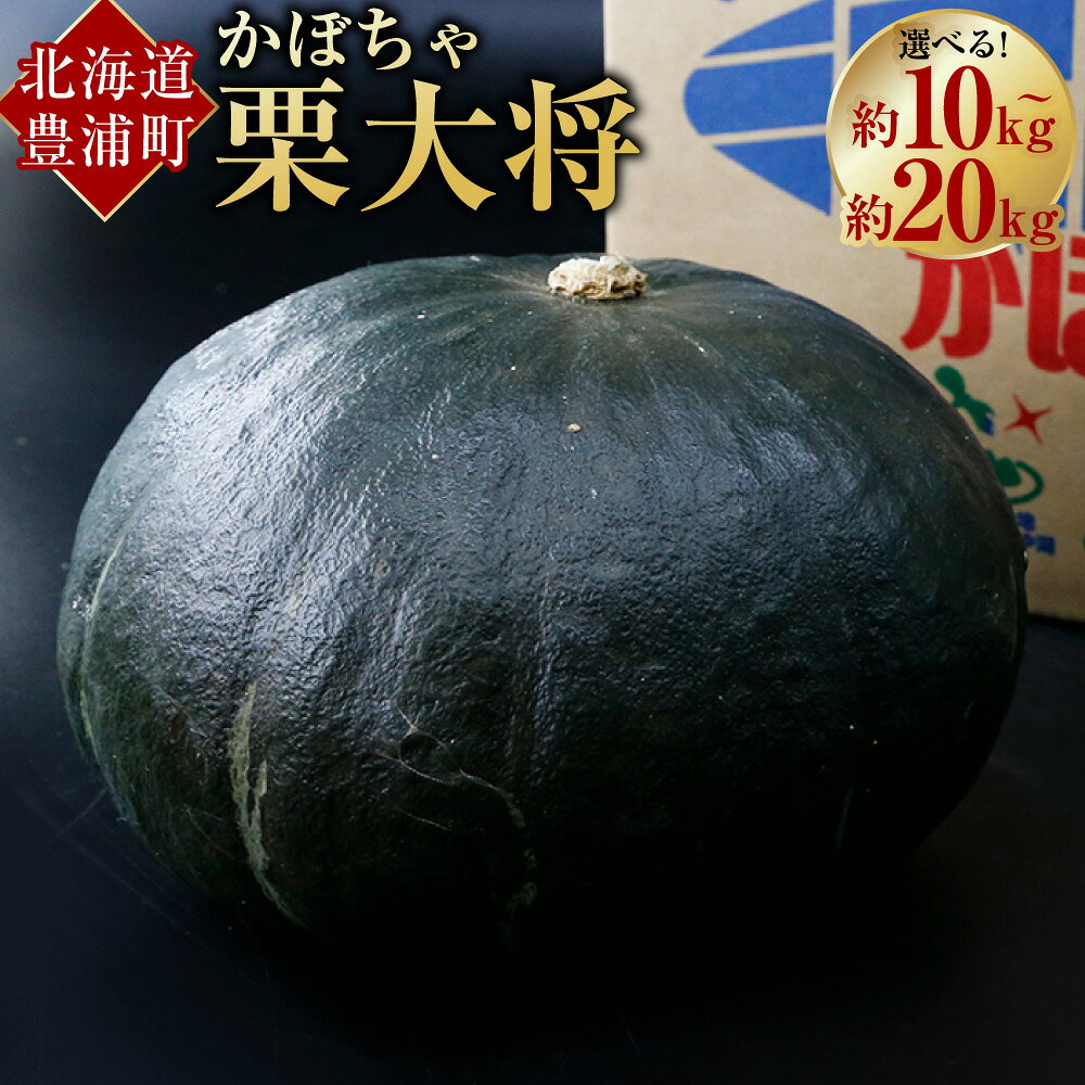 【ふるさと納税】【先行予約】北海道 豊浦町 かぼちゃ 栗大将 約10～20kg （1箱5～7玉）【2026年9月上旬発送開始】〈選べる内容量〉カボチャ 南瓜 野菜 煮物 天ぷら