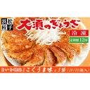 【ふるさと納税】【定期便12回】浜松餃子 大須のぎょうざ［ 浜松ぎょうざ とまらぬコクと旨いを堪能！＜ こくうま味 ＞］× 5袋（1袋20個入、合計100個）　定期便・浜松市　お届け：※寄附金のご入金確認の翌月以降、初回発送から12ヶ月連続でお届けします。