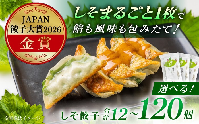 
                  ＼JAPAN餃子大賞2026 金賞受賞／  餃子 しそ餃子 12個 ～ 120個 【選べる容量】【餃子屋ヒロ】餃子 ぎょうざ ギョウザ ギョーザ 冷凍餃子 豚肉 豚 ミンチ 餃子 神奈川 冷凍 餃子 ぎょうざ ギョウザ ギョーザ 冷凍 餃子 おかず お惣菜 餃子 ぎょうざ ギョウザ ギョーザ 豚肉 豚 ミンチ 冷凍 餃子 ぎょうざ ギョウザ ギョーザ 開成町 [BDAS003]
                
