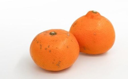＜訳あり＞愛果28号 約3kg | 愛媛県 松山市 みかん みかん みかん みかん 【KK0612】