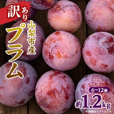 ふるさと納税 山梨市 【先行受付】訳ありプラム(すもも) 約1.2kg(6〜12個)