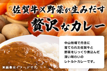 佐賀牛カレー 150g 6個 | 佐賀牛と野菜の深い味わい | 贅沢レトルトカレー 6個セット B-814 ご当地カレー 温めるだけ 湯煎 牛カレー 防災 非常食 常備食