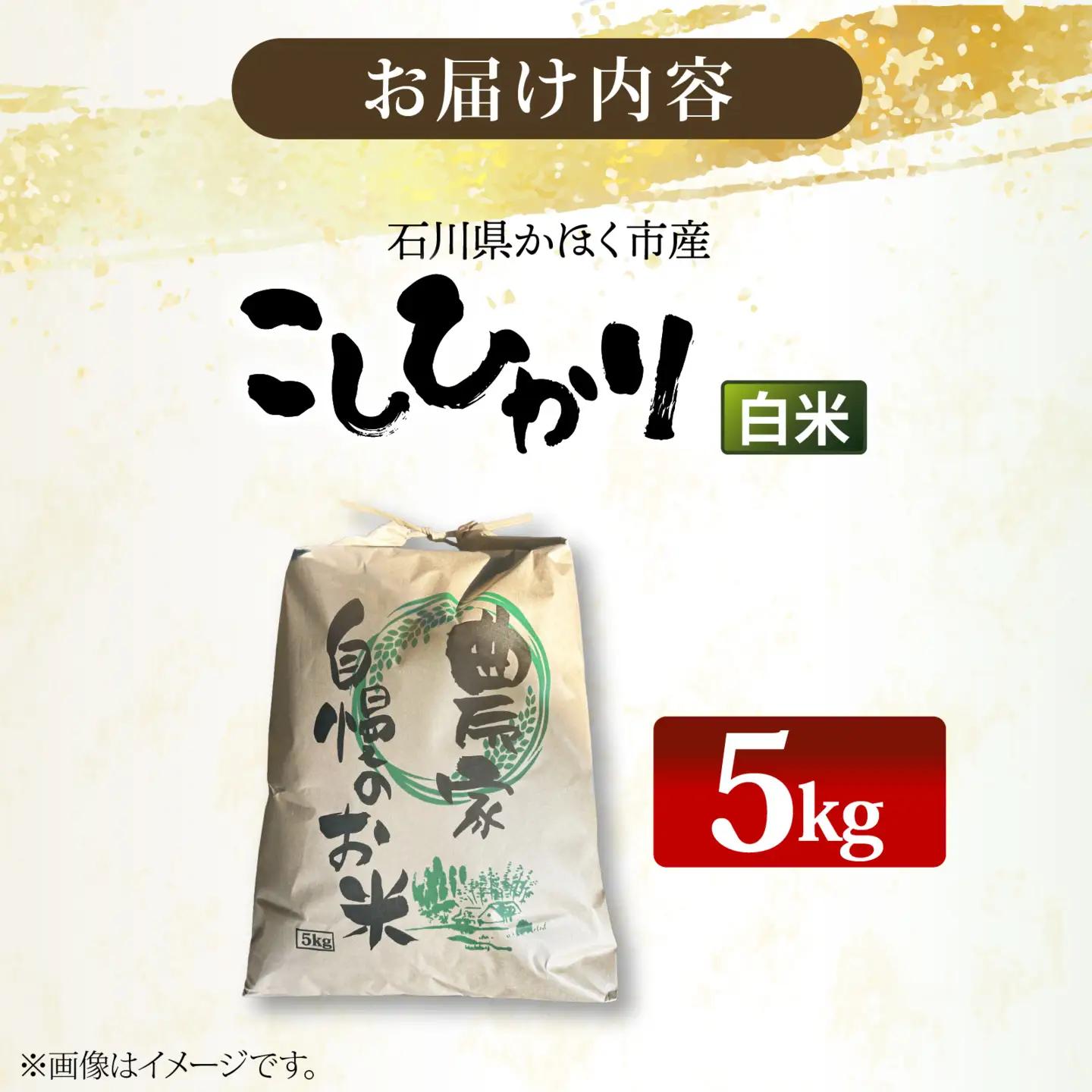 【令和8年産 新米】こしひかり  白米 5kg | コシヒカリ 