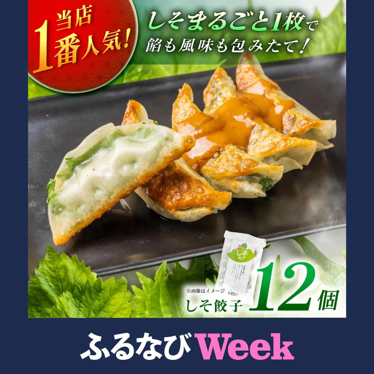 【ふるなびWEEK対象】 【1パック】餃子屋ヒロの しそ餃子  [BDAS003-1] 
