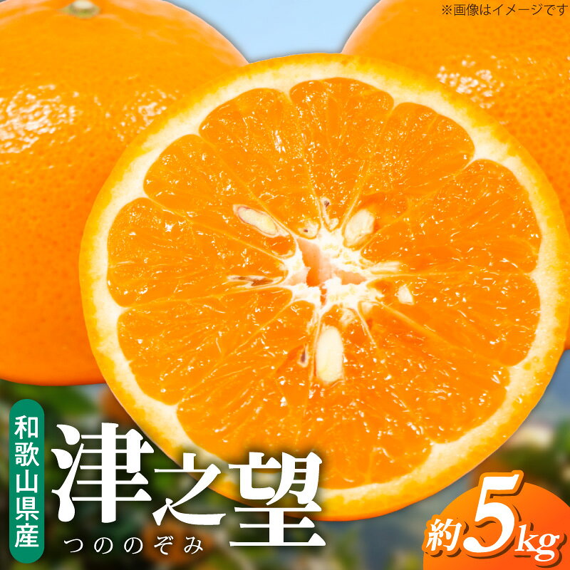 【ふるさと納税】【2027年先行予約】 津之望 約5kg 湯浅町産 柑橘 フルーツ みかん 果物 濃い橙色 果汁 甘い 爽やか 香り 皮がむきやすい 人気品種 濃厚な味わい 種あり お取り寄せ 名産品 特産品 和歌山県 湯浅町 送料無料