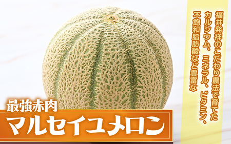 【先行予約】 安心安全！減農薬！こだわり農法で育てたマルセイユメロン 2玉 (1玉あたり：1.3kg以上) 【2026年6月中旬以降順次発送予定】 【メロン めろん 赤肉 フルーツ デザート 果物 く