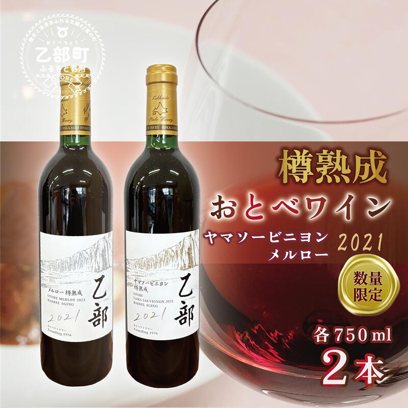 【ふるさと納税】数量限定 樽熟成 老舗ワイナリー 2種類まとめて《おとべワイン メルロー・ヤマソービニヨン： 750ml×各1本セット》＜ 樽 個性派 スピード出荷 北海道 乙部町 栽培 道南ワイン おとべワイン ワイン 赤ワイン 限定 芳醇 カベルネ・ソーヴィニヨン 山ぶどう ＞