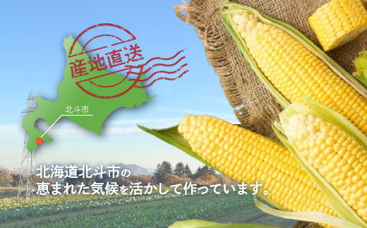 【先行受付】北斗とうもろこし 1kg (2026年8月より順次発送) HOKY003