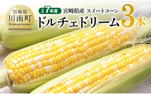 【令和7年産】宮崎県産とうもろこし　スィートコーン「ドルチェドリーム」3本 【 とうもろこし スイートコーン コーン 野菜 】
