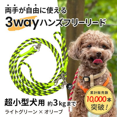 【ふるさと納税】【犬用リード】3WAYハンズフリーリード(超小型犬用)ライトグリーン×オリーブ【ゴールデンママ】【配送不可地域：離島・沖縄県】【1663366】