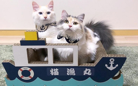 猫の爪とぎ　漁船 猫 ねこ ネコ キャット cat 爪とぎ ダンボール 段ボール 写真映え かわいい 船 日本製 国産 おもちゃ ペット インテリア 愛猫 動物 猫用品 猫用玩具 グッズ 愛猫へプレゼ